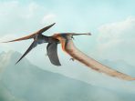 pteranodon